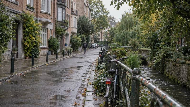 Tout savoir sur la rue des Pêcheries à Bruxelles